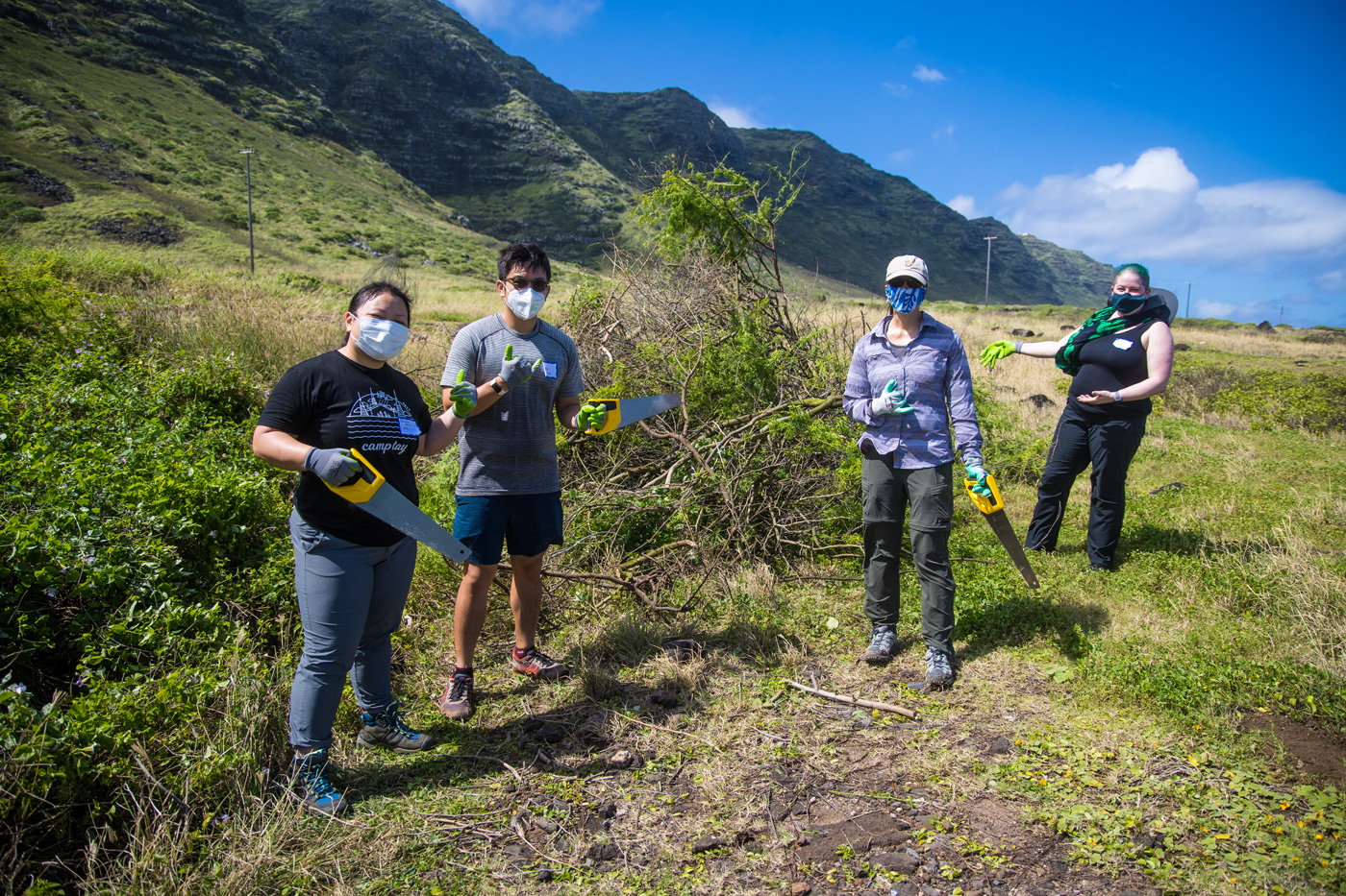 Who knew handsawing haole koa could be so cathartic?